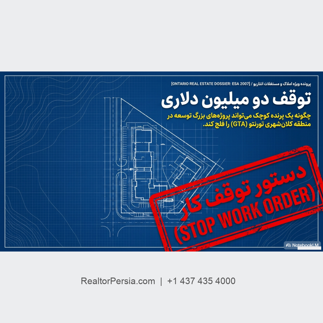 لانه پرنده و توقف پروژه ساختمانی 